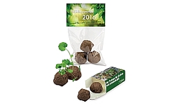 549 emotion 1 - emotion factory GmbH: Blühende Werbeerfolge streuen