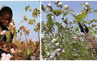 wn348 slider nach 320x202 - Textilien, Teil 1: Moralisch tragbar