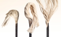 manaomea puschel 250x154 - Manaomea: Für Nachhaltigkeit ausgezeichnet