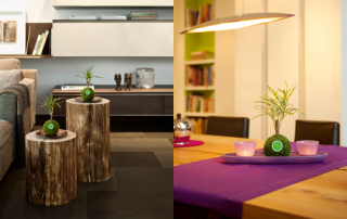 kibuno 1 320x202 - Kibonu: Blumentopf war gestern