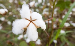 hakro - Hakro: Nachhaltigkeitsmaßnahme