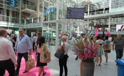 IMG 2442 Vorschau - SuisseEMEX `17: Konzept geht auf