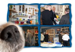 cameoSchnuppertagePR - cameo Laser: Schnuppertag im November