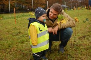 gollnestkiesel v - Gollnest & Kiesel: Waldpflanzaktion in Schleswig-Holstein