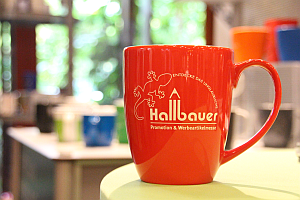 IMG 2879 - Hallbauer Exklusivwerbung: 40. Firmenjubiläum