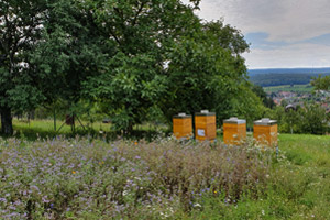 „Wir drehen die Stellschrauben, die wir drehen können“ Standort5 - „Wir drehen die Stellschrauben, die wir drehen können“