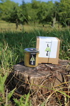 „Wir drehen die Stellschrauben, die wir drehen können“ Zogi Honig - „Wir drehen die Stellschrauben, die wir drehen können“