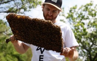 bwl mp2 bilder imkerei 17 320x202 - „Wir drehen die Stellschrauben, die wir drehen können“