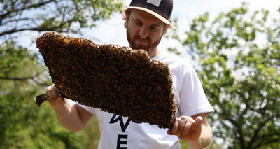 „Wir drehen die Stellschrauben, die wir drehen können“ bwl mp2 bilder imkerei 17 - „Wir drehen die Stellschrauben, die wir drehen können“