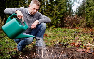 Sprout images for company portrait hres2 320x202 - „Nachhaltigkeit bleibt“