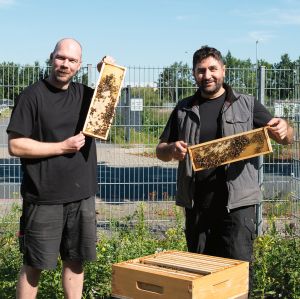 terminic verlängert Bienenpatenschaft terminic bienen t - terminic verlängert Bienenpatenschaft