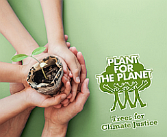 PlantforPlanet2 - Crimex: Nachhaltige Wirkung