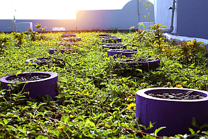 2Q9B8946 klein - Brands Fashion gewinnt Deutschen Nachhaltigkeitspreis