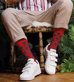 67 ADW01472 1 print - Patron Socks: Von der Alltagstextilie zum Mode-Must-have