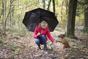 fare doggybrella - Red Dot Award für Fare