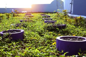 BrandsFashion - Brands Fashion veröffentlicht Nachhaltigkeitsbericht