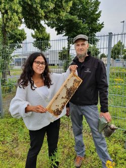terminic bienen 1 - terminic: Bienenpatenschaft verlängert