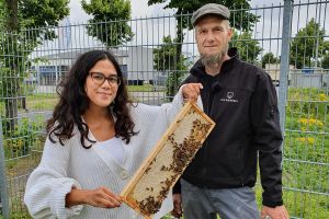 terminic bienen v - terminic: Bienenpatenschaft verlängert