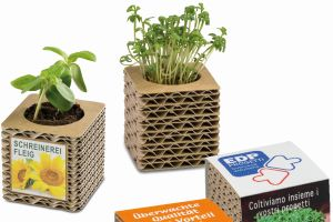 Pflanzwuerfel Vorschau 300x200 - Heri-Rigoni: 90%ige Wiederverwendung von Verpackungsmaterial