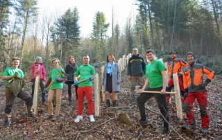 knauer wald v 320x202 - Karl Knauer: Auszubildende pflanzen Bäume