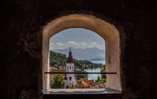 promoswiss v 320x202 - PromoSwiss: Generalversammlung und 40-jähriges Jubiläum