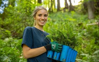 brandible v 320x202 - Brandible ist klimaneutral