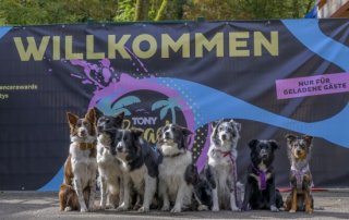 fotl v 320x202 - Fruit of the Loom: T-Shirts für Tierschutz