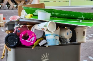 Verpackungssteuer ist rechtmäßig shutterstock 2308248077 - Verpackungssteuer ist rechtmäßig