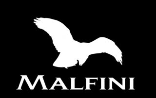 LOGO MALFINI 320x202 - Wachstum bei Malfini