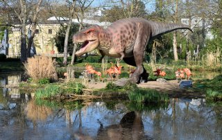 zoo beitragsbild dino 550x367 320x202 - Von der Urzeit in die Zukunft