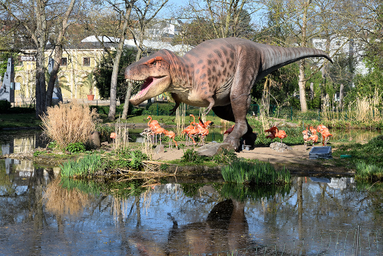 Startseite zoo beitragsbild dino 550x367 - Startseite