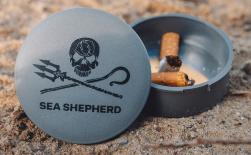 Startseite tobacircle vorschaubild - Startseite