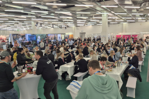 wmm2026 textbild4 - wmm: Mit Fu&szlig;ball und Farbe ins neue Jahr