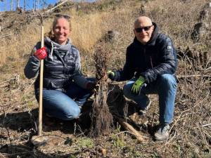 BVDM textbild - BVDM setzt Zeichen f&uuml;r Klimaschutz