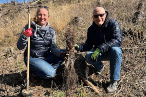 BVDM vorschaubild - BVDM setzt Zeichen für Klimaschutz