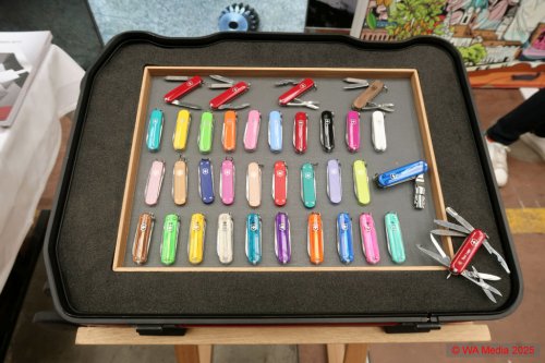 Pandinavia2025 21 DCE - Pandinavia Summit: Gipfel erklommen