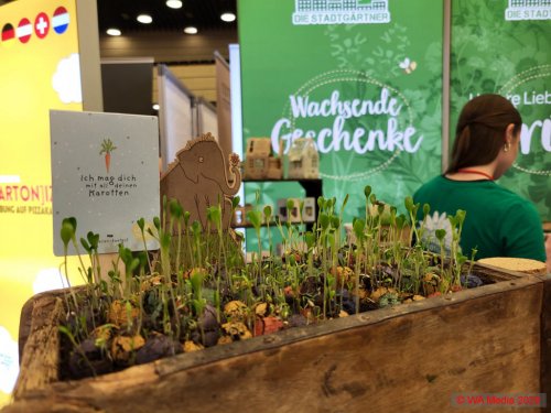 24 SK278 DCE - HAPTICA live &rsquo;26: Merch gewinnt