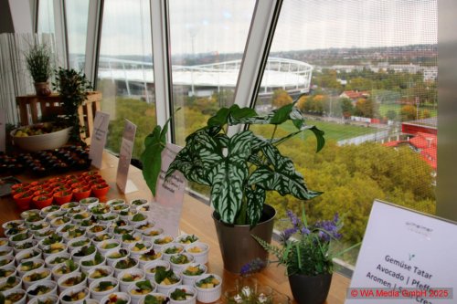 Daiber Fashion Show Gallery 04 DCE - Daiber Fashion Show im Mercedes-Benz Museum