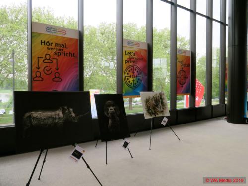 PDC 2019 70 DCE - Printunddigital_2019