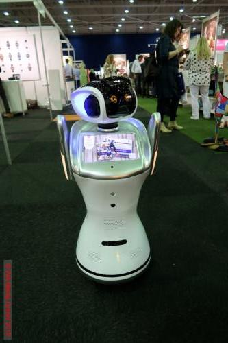 PromZ 15 DCE - PromZ.live: Umfangreiches Programm