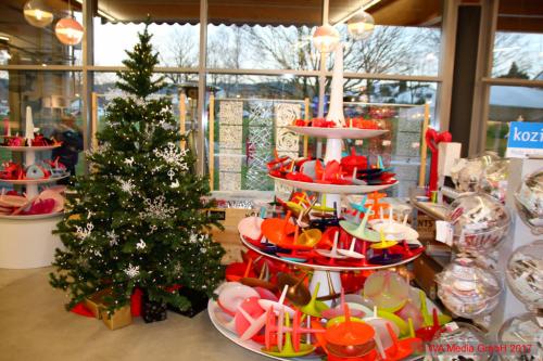 WelcomeHome2017 0053 koziol DCE - Welcome Home-Tour: Willkommen zu Hause