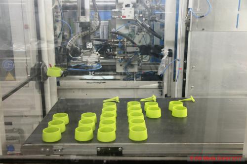 WelcomeHome2017 0055 koziol DCE - Welcome Home-Tour: Willkommen zu Hause